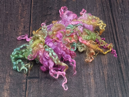 Hand Dyed Wensleydale Locks - Spinning Fibre