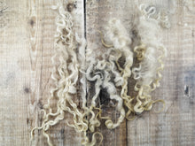 Load image into Gallery viewer, Wensleydale Locks - Spinning Fibre